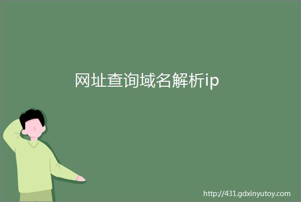 网址查询域名解析ip